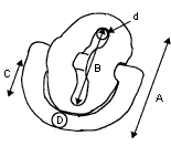Southern Rigging Supplies