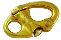 Photo of Bronze Fixed Eye